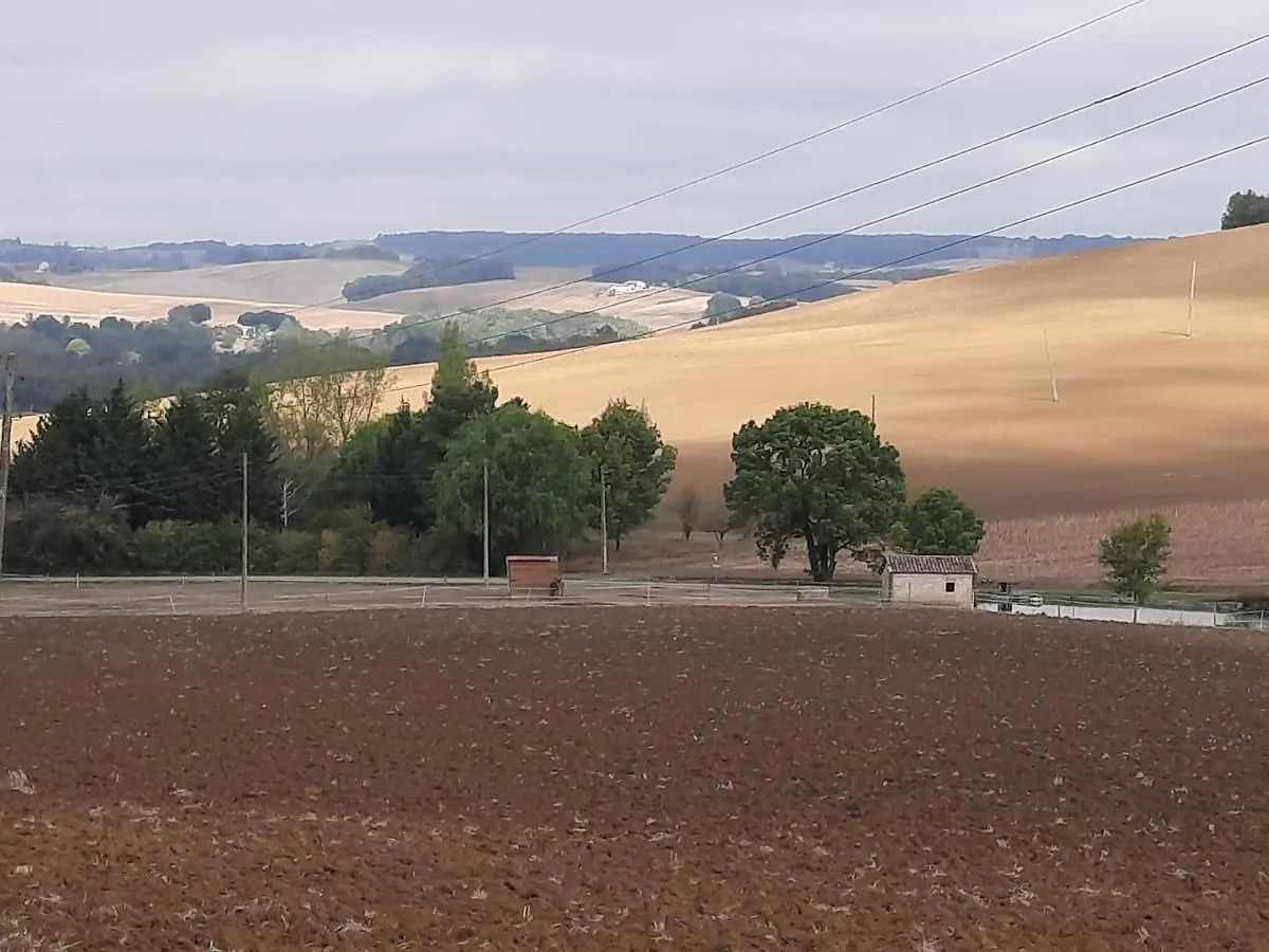 Apartmán Chez Regis Lachapelle   Lachapelle (Tarn-et-Garonne)